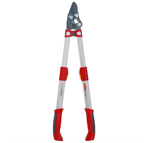 Power Cut Long Handle Anvil Lopper